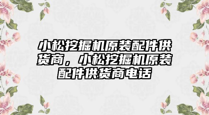 小松挖掘機(jī)原裝配件供貨商，小松挖掘機(jī)原裝配件供貨商電話