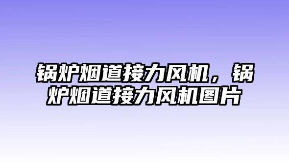 鍋爐煙道接力風機，鍋爐煙道接力風機圖片