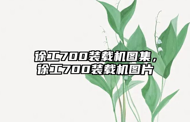 徐工700裝載機圖集，徐工700裝載機圖片