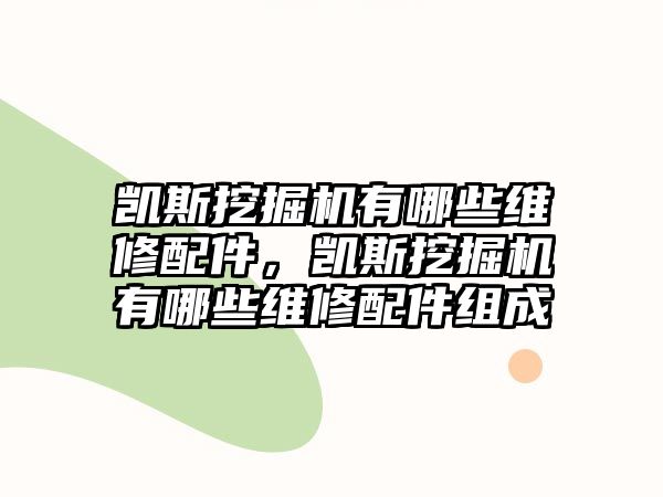 凱斯挖掘機有哪些維修配件，凱斯挖掘機有哪些維修配件組成