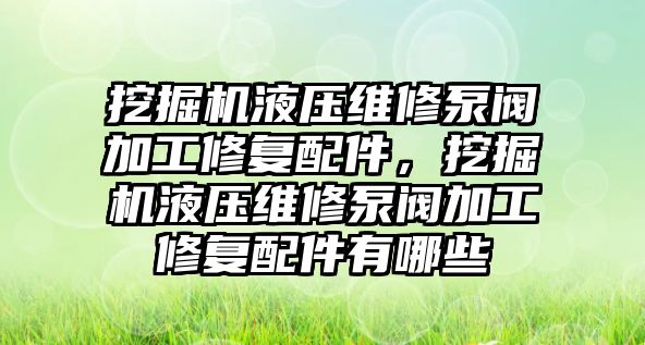 挖掘機液壓維修泵閥加工修復(fù)配件，挖掘機液壓維修泵閥加工修復(fù)配件有哪些