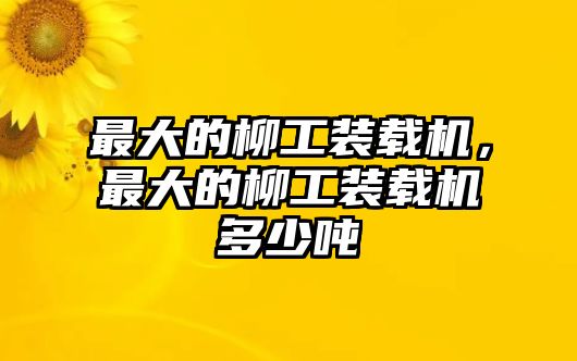 最大的柳工裝載機，最大的柳工裝載機多少噸