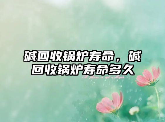 堿回收鍋爐壽命，堿回收鍋爐壽命多久