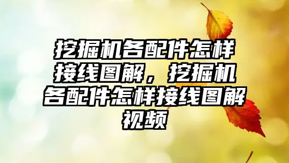 挖掘機各配件怎樣接線圖解，挖掘機各配件怎樣接線圖解視頻