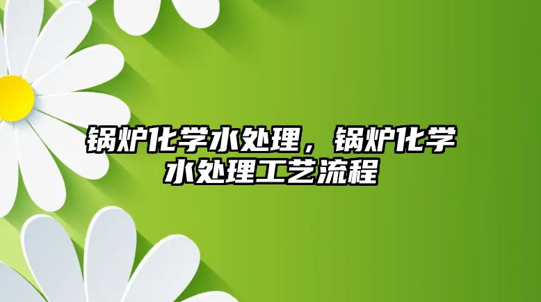 鍋爐化學(xué)水處理，鍋爐化學(xué)水處理工藝流程