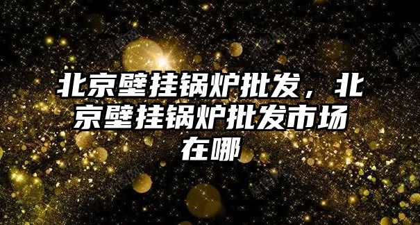 北京壁掛鍋爐批發(fā)，北京壁掛鍋爐批發(fā)市場在哪