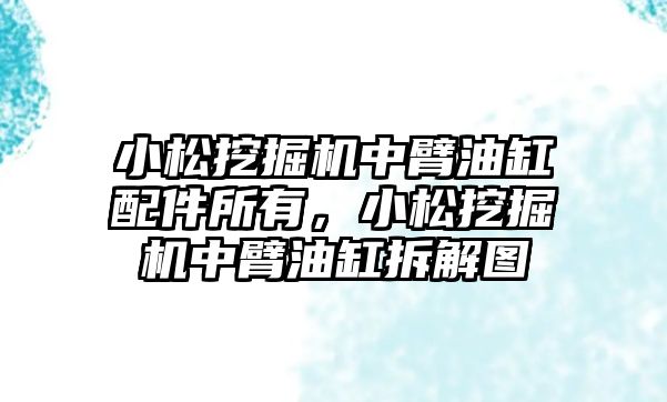 小松挖掘機中臂油缸配件所有，小松挖掘機中臂油缸拆解圖