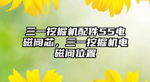 三一挖掘機配件55電磁閥芯，三一挖掘機電磁閥位置