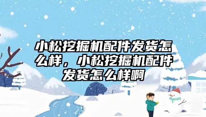 小松挖掘機配件發(fā)貨怎么樣，小松挖掘機配件發(fā)貨怎么樣啊