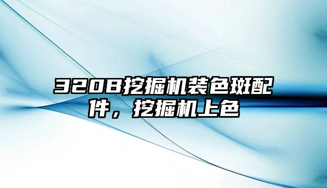 320B挖掘機裝色斑配件，挖掘機上色