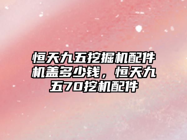 恒天九五挖掘機(jī)配件機(jī)蓋多少錢，恒天九五70挖機(jī)配件