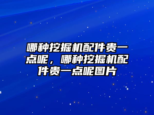 哪種挖掘機配件貴一點呢，哪種挖掘機配件貴一點呢圖片