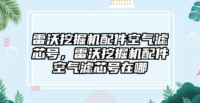 雷沃挖掘機配件空氣濾芯號，雷沃挖掘機配件空氣濾芯號在哪