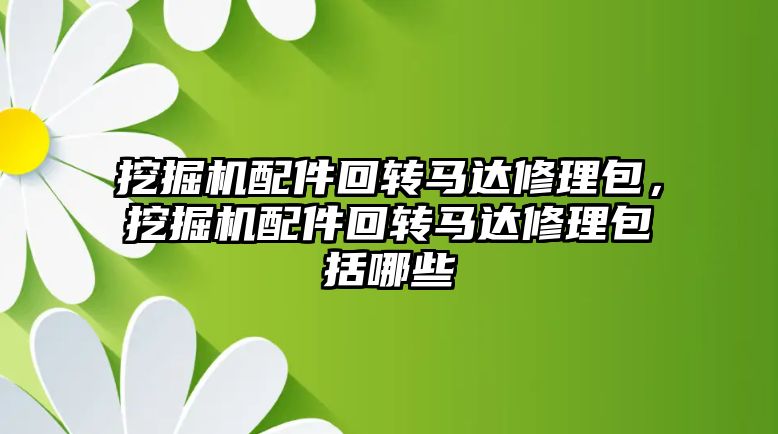 挖掘機配件回轉馬達修理包，挖掘機配件回轉馬達修理包括哪些