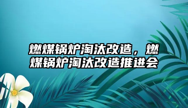 燃煤鍋爐淘汰改造，燃煤鍋爐淘汰改造推進會