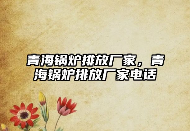 青海鍋爐排放廠家，青海鍋爐排放廠家電話