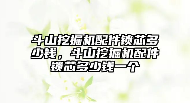 斗山挖掘機配件鎖芯多少錢，斗山挖掘機配件鎖芯多少錢一個