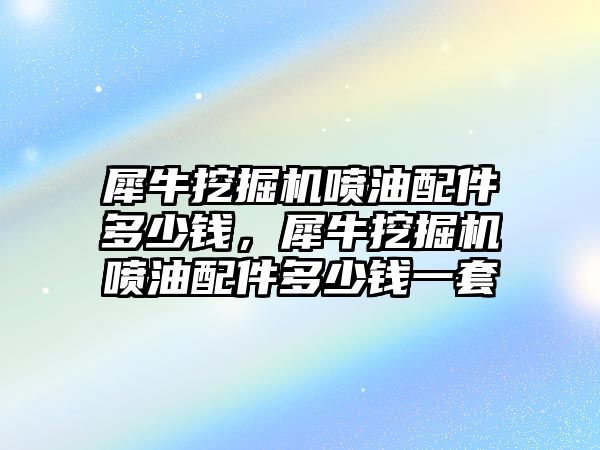 犀牛挖掘機(jī)噴油配件多少錢，犀牛挖掘機(jī)噴油配件多少錢一套