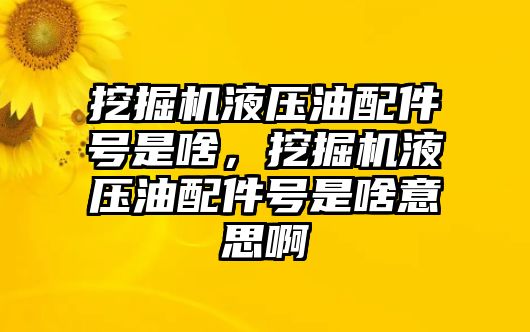 挖掘機(jī)液壓油配件號是啥，挖掘機(jī)液壓油配件號是啥意思啊