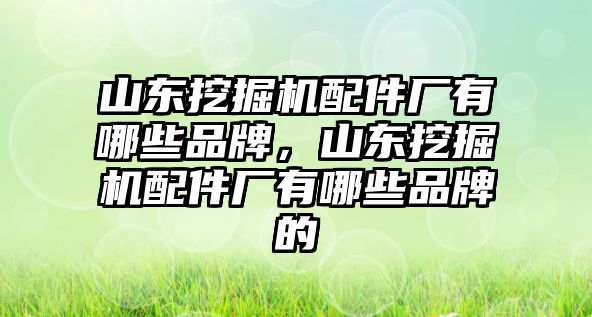 山東挖掘機配件廠有哪些品牌，山東挖掘機配件廠有哪些品牌的