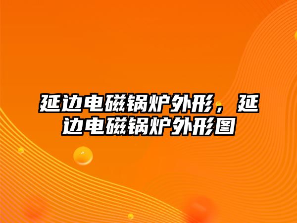 延邊電磁鍋爐外形，延邊電磁鍋爐外形圖