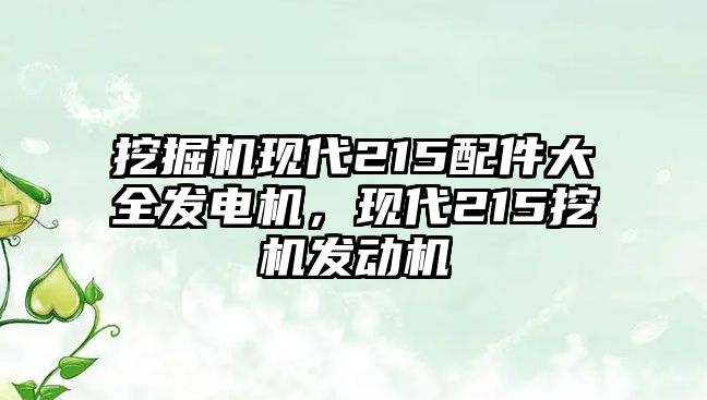 挖掘機(jī)現(xiàn)代215配件大全發(fā)電機(jī)，現(xiàn)代215挖機(jī)發(fā)動(dòng)機(jī)