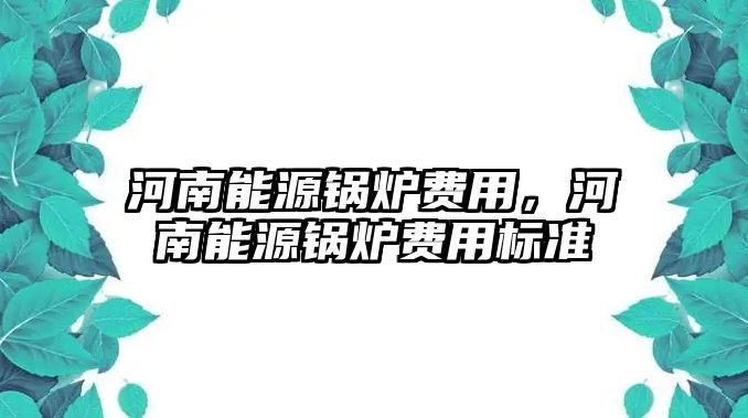 河南能源鍋爐費(fèi)用，河南能源鍋爐費(fèi)用標(biāo)準(zhǔn)