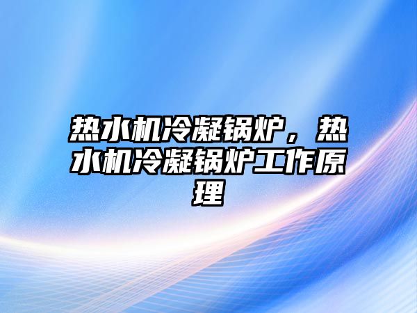 熱水機冷凝鍋爐，熱水機冷凝鍋爐工作原理