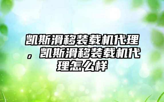 凱斯滑移裝載機(jī)代理，凱斯滑移裝載機(jī)代理怎么樣