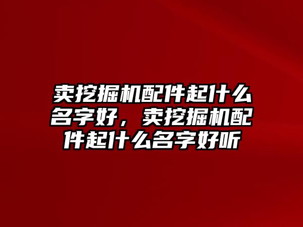 賣挖掘機配件起什么名字好，賣挖掘機配件起什么名字好聽