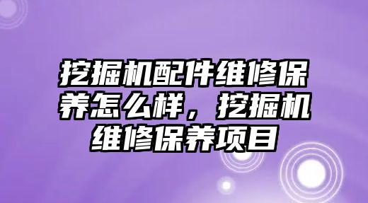 挖掘機配件維修保養(yǎng)怎么樣，挖掘機維修保養(yǎng)項目