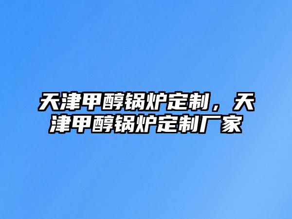 天津甲醇鍋爐定制，天津甲醇鍋爐定制廠家