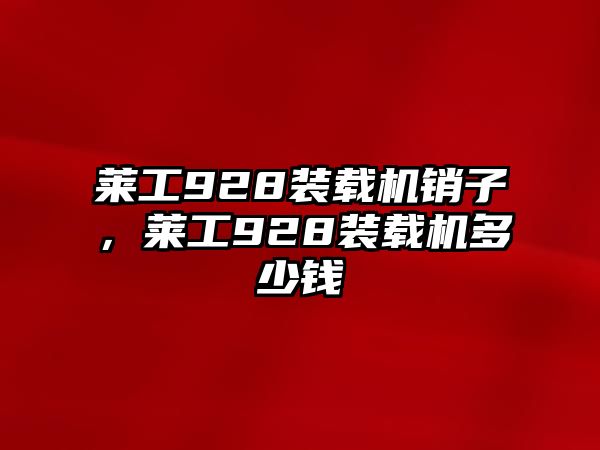 萊工928裝載機銷子，萊工928裝載機多少錢