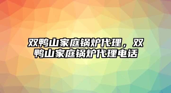 雙鴨山家庭鍋爐代理，雙鴨山家庭鍋爐代理電話