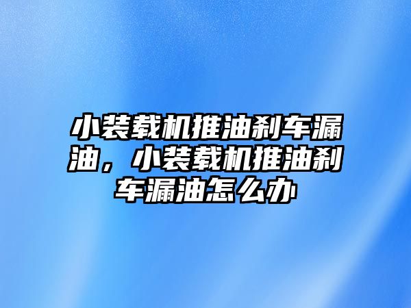 小裝載機(jī)推油剎車漏油，小裝載機(jī)推油剎車漏油怎么辦