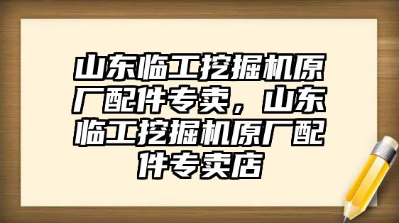 山東臨工挖掘機(jī)原廠配件專賣，山東臨工挖掘機(jī)原廠配件專賣店