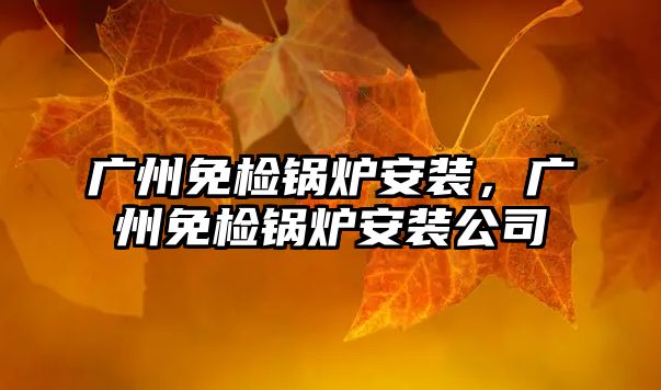 廣州免檢鍋爐安裝，廣州免檢鍋爐安裝公司