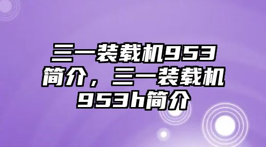 三一裝載機(jī)953簡介，三一裝載機(jī)953h簡介