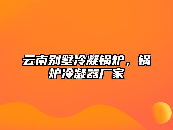 云南別墅冷凝鍋爐，鍋爐冷凝器廠家