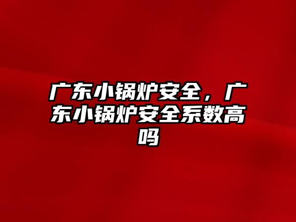 廣東小鍋爐安全，廣東小鍋爐安全系數(shù)高嗎