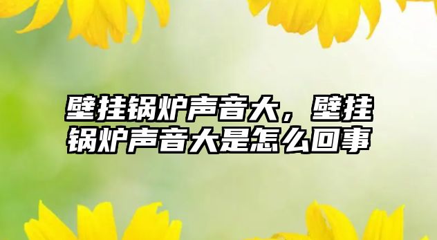 壁掛鍋爐聲音大，壁掛鍋爐聲音大是怎么回事