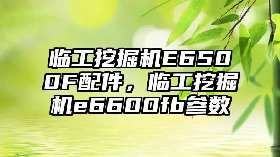 臨工挖掘機E6500F配件，臨工挖掘機e6600fb參數(shù)