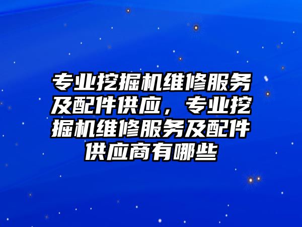 專業(yè)挖掘機維修服務(wù)及配件供應(yīng)，專業(yè)挖掘機維修服務(wù)及配件供應(yīng)商有哪些