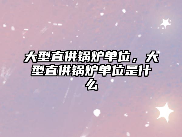 大型直供鍋爐單位，大型直供鍋爐單位是什么