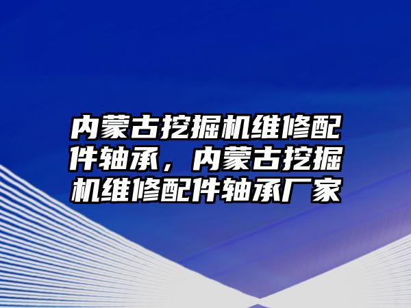 內蒙古挖掘機維修配件軸承，內蒙古挖掘機維修配件軸承廠家