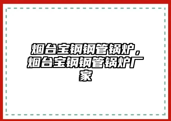 煙臺寶鋼鋼管鍋爐，煙臺寶鋼鋼管鍋爐廠家