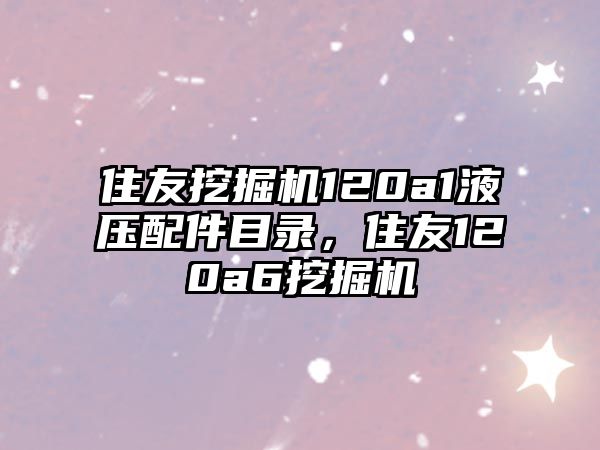 住友挖掘機120a1液壓配件目錄，住友120a6挖掘機