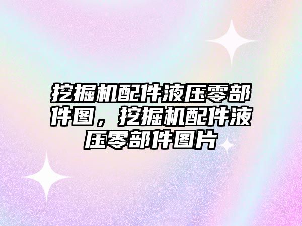 挖掘機配件液壓零部件圖，挖掘機配件液壓零部件圖片