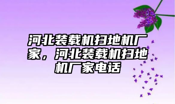 河北裝載機(jī)掃地機(jī)廠家，河北裝載機(jī)掃地機(jī)廠家電話