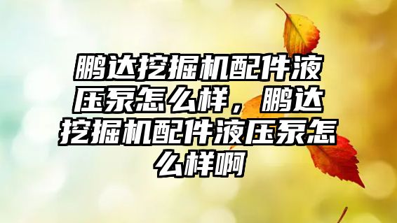 鵬達挖掘機配件液壓泵怎么樣，鵬達挖掘機配件液壓泵怎么樣啊